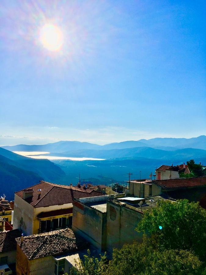 Апартаменти Delphi Celebrity V I P The Navel Of The Earth, Center-Delphi-Penthouse Galaxy&Sky Panoramic View, Harmony&Yoga Екстер'єр фото